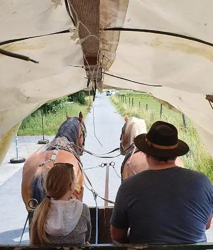 Haus Erlen Vendégház