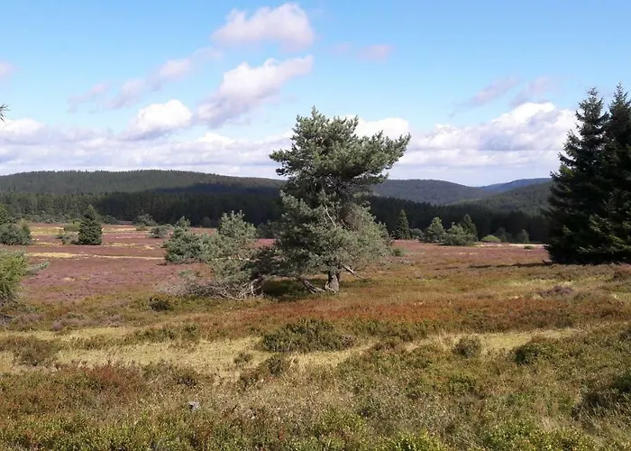 Casa de hóspedes Haus Erlen
